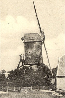 Molen Korenmolen Van Dodewaard, Dodewaard | Nederlandse Molendatabase